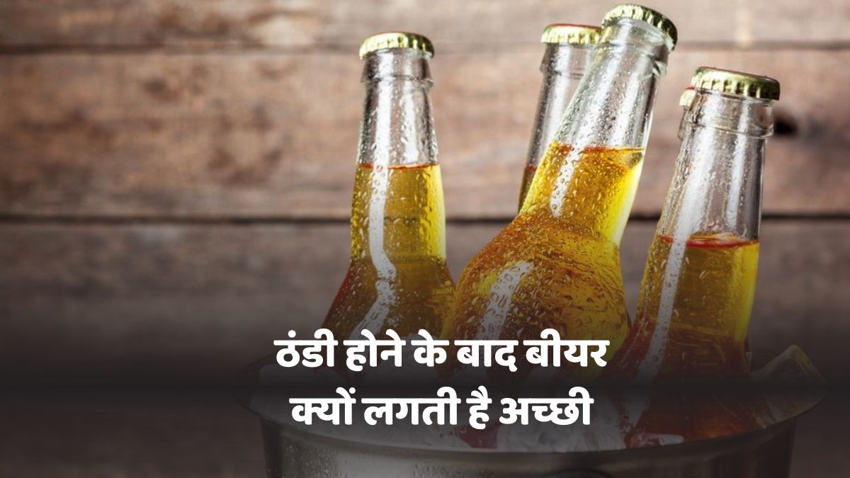 Cold Beer Taste Reason
