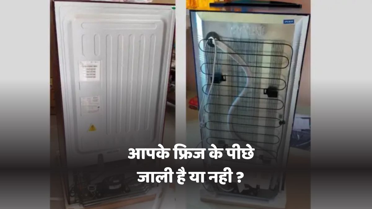 Fridge Buying Guide