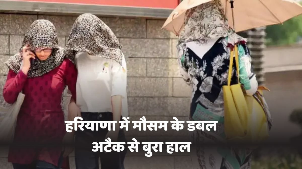 Haryana Weather Update 13 June