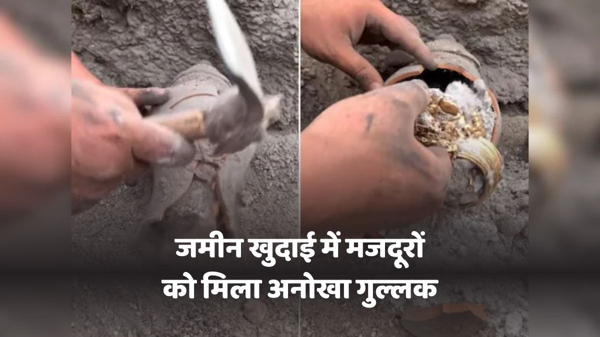Viral Treasure Video